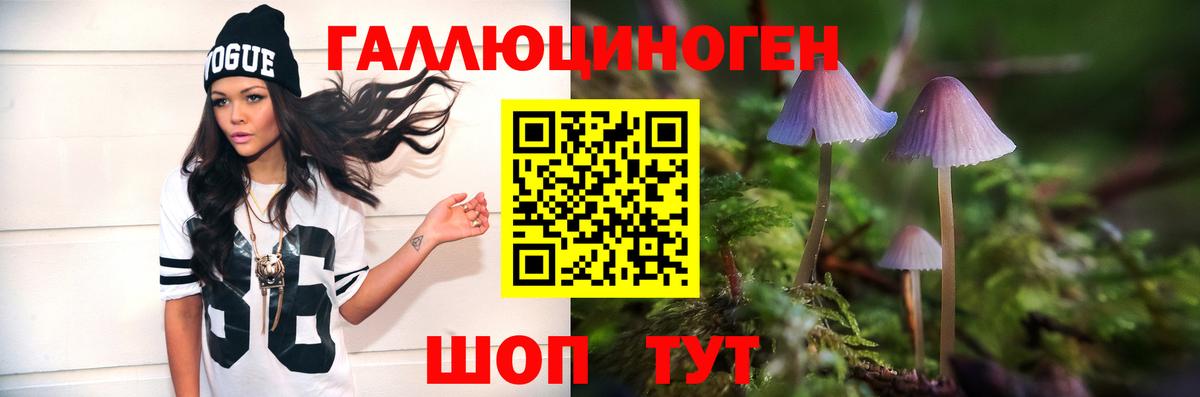 Псилоцибиновые грибы Cubensis Коломна
